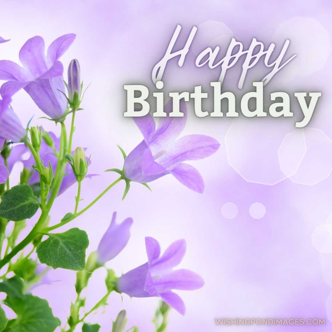 A beautiful image of a Lilac Flower on light purple background. Happy Birthday Purple Flower Images